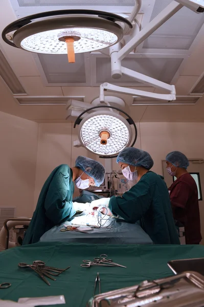 Skupina veterinární chirurgie v provozu místnosti — Stock fotografie