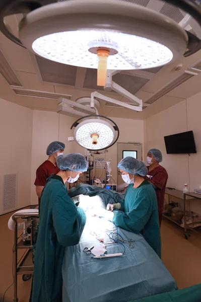 Grupo de cirurgia veterinária na sala de operação no hospital — Fotografia de Stock