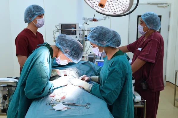 Groupe de chirurgie vétérinaire en salle d'opération — Photo