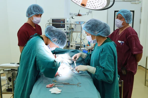 Groupe de chirurgie vétérinaire en salle d'opération — Photo