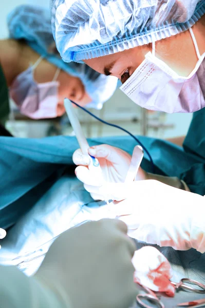 Dois cirurgiões veterinários na sala de operações — Fotografia de Stock