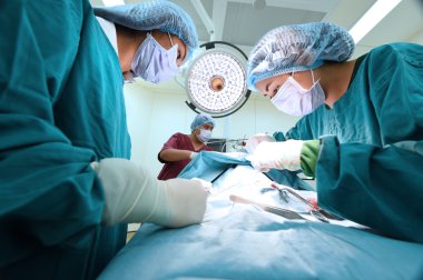 Veteriner Cerrahi operasyon odasında grup