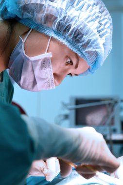 Veteriner Cerrahi operasyon odasında