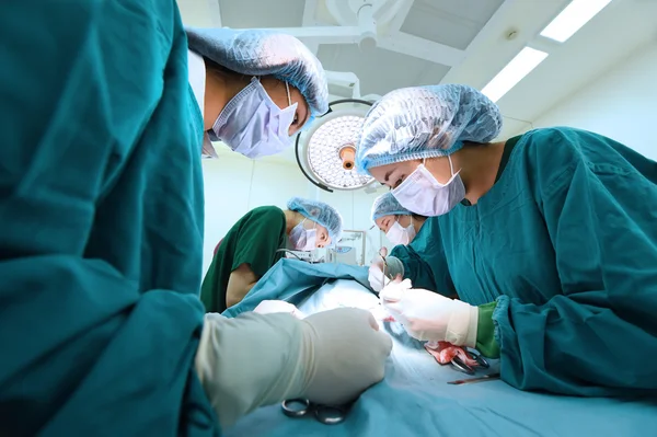 Groep van dierenarts chirurgie in operatie kamer Rechtenvrije Stockfoto's