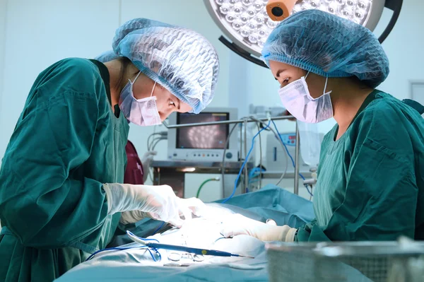 Two veterinarian surgeons in operating room — Stock Photo, Image