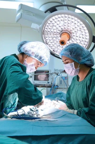 Dois cirurgiões veterinários na sala de operações — Fotografia de Stock