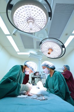 Veteriner Cerrahi operasyon odasında grup