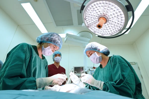 Groep van dierenarts chirurgie in operatie kamer — Stockfoto