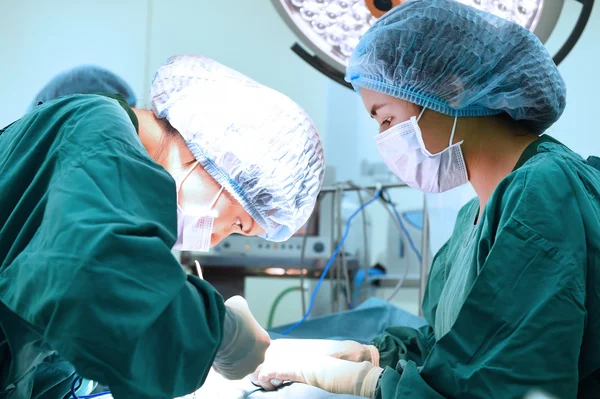 Група ветеринарної хірургії в операційному залі — стокове фото