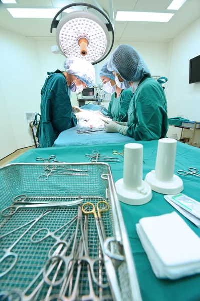 Grupo de cirurgia veterinária na sala de operação — Fotografia de Stock