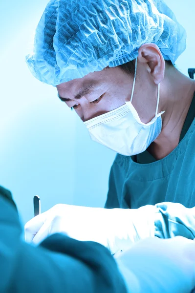 Veterinarian surgery in operation room — Stock Photo, Image