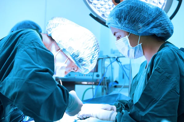 Two veterinarian surgeons in operating room — Stock Photo, Image