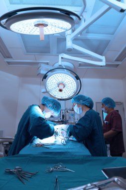 Veteriner Cerrahi operasyon odasında grup
