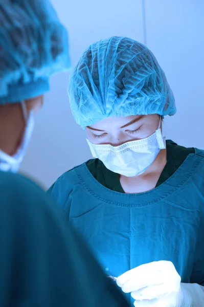 Veterinarian surgery in operation room — Stock Photo, Image