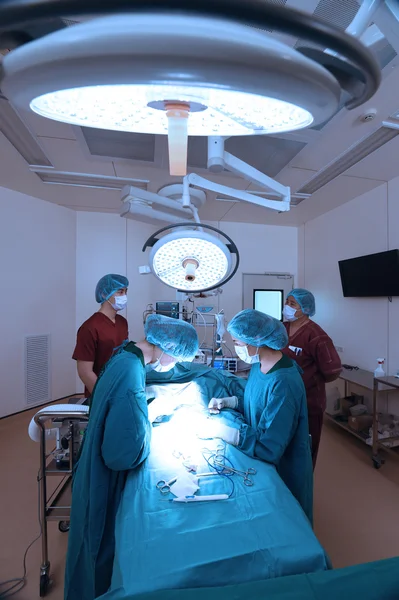 Grupo de cirurgia veterinária na sala de operação — Fotografia de Stock