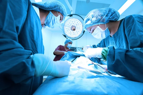 Grupo de cirurgia veterinária na sala de operação — Fotografia de Stock