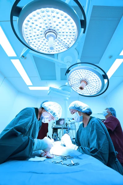 Groep van dierenarts chirurgie in operatie kamer — Stockfoto