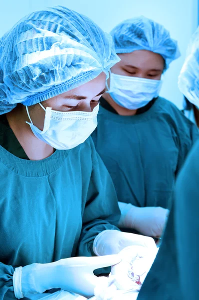 Groupe de chirurgie vétérinaire en salle d'opération — Photo