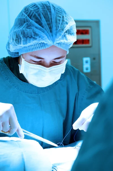 Veterinarian surgery in operation room — Stock Photo, Image