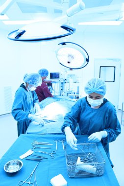 group of veterinarian surgery in operation room clipart