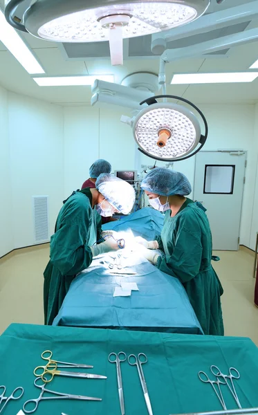 Groupe de chirurgie vétérinaire en salle d'opération — Photo