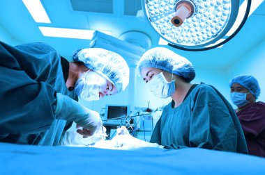 Ameliyathanede iki veteriner cerrah var.