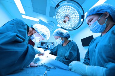 Veteriner Cerrahi operasyon odasında grup