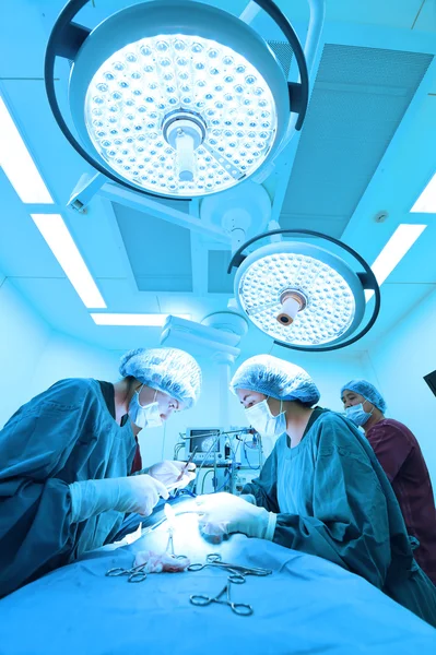 Group of veterinarian surgery in operation room — Stock Photo, Image