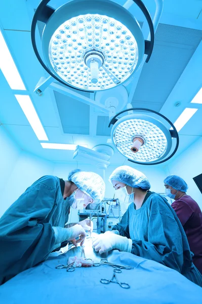 Grupo de cirurgia veterinária na sala de operação — Fotografia de Stock