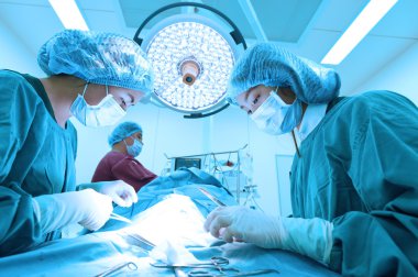 Veteriner Cerrahi operasyon odasında grup