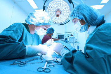 Veteriner Cerrahi operasyon odasında grup