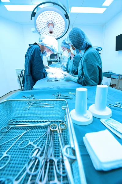 Groep van dierenarts chirurgie in operatie kamer — Stockfoto