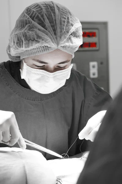 Veterinarian surgery in operation room — Stock Photo, Image