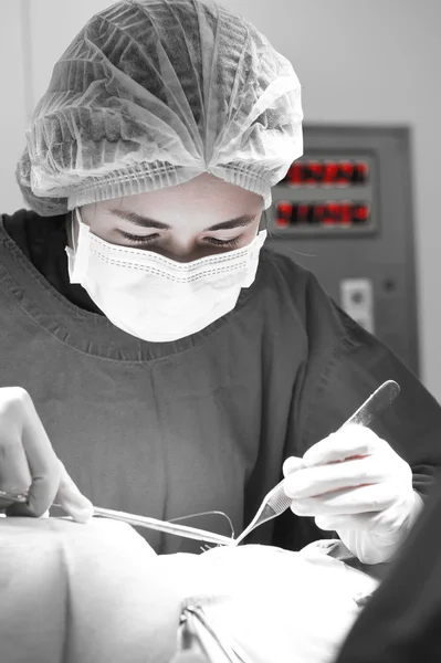 Weterynarz Chirurgia w serwerowni — Zdjęcie stockowe