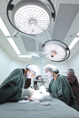 Veteriner Cerrahi operasyon odasında grup