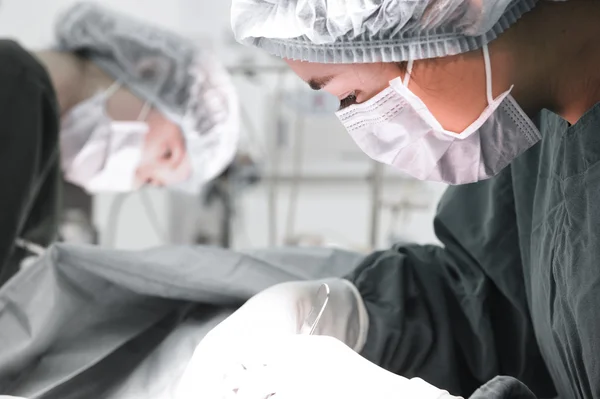 Twee dierenartsen in de operatiekamer — Stockfoto