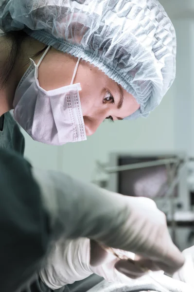 Operasi dokter hewan di ruang operasi — Stok Foto