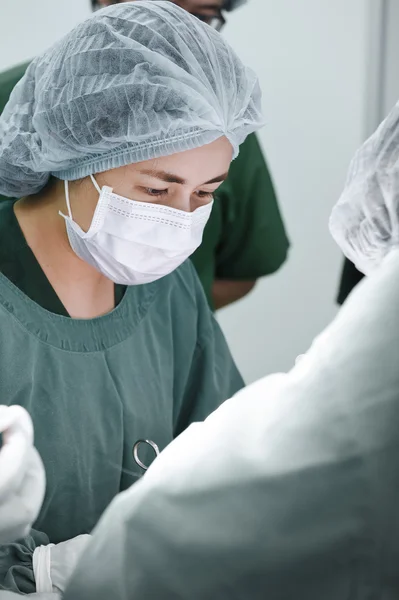 Veterinarian surgery in operation room — Stock Photo, Image