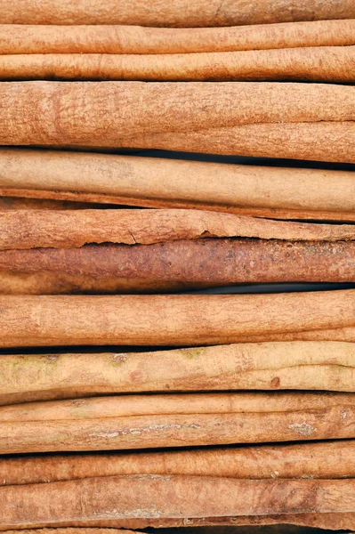 Palitos de canela aislados sobre fondo blanco — Foto de Stock