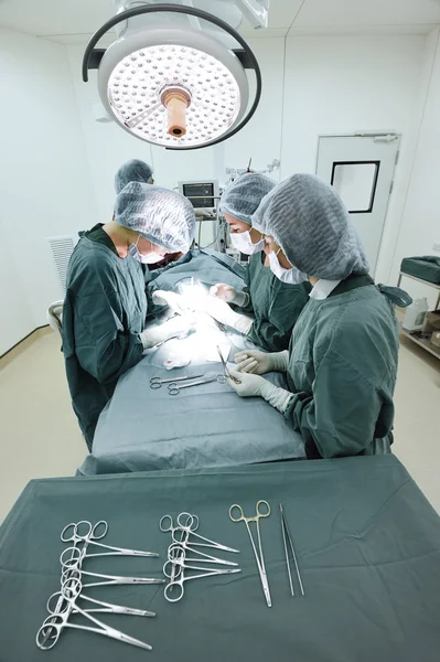 Grup de chirurgie veterinară în sala de operații — Fotografie, imagine de stoc