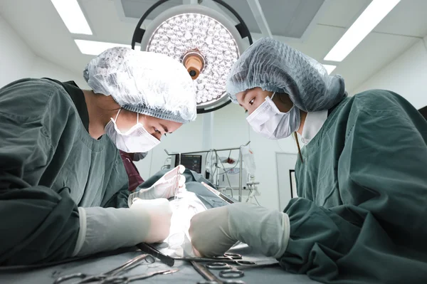 Dois cirurgiões veterinários na sala de operações — Fotografia de Stock