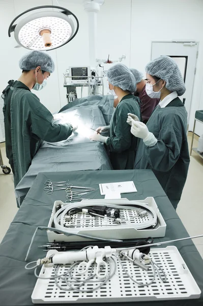 Groupe de chirurgie vétérinaire en salle d'opération — Photo