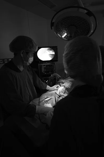 Врач-ветеринар в операционной для лапароскопической хирургии — стоковое фото