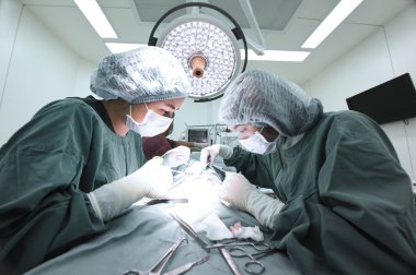 Ameliyathanede iki veteriner cerrah var.