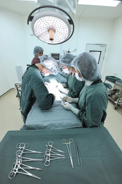 Groupe de chirurgie vétérinaire en salle d'opération — Photo