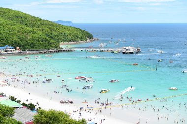Koh Larne Adası tropik beach, en ünlü adanın pattaya City
