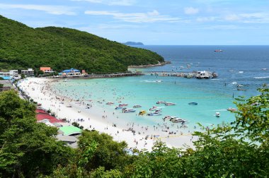 Koh Larne Adası tropik beach, en ünlü adanın pattaya City