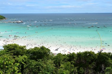 Koh Larne Adası tropik beach, en ünlü adanın pattaya City