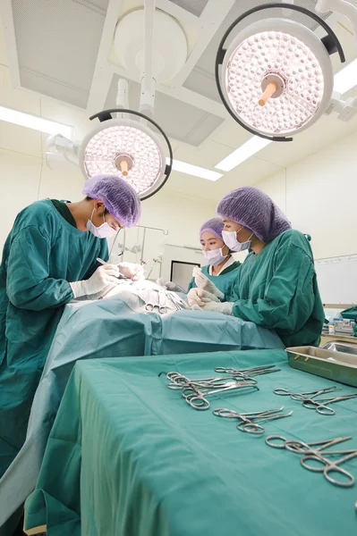 Groupe de chirurgie vétérinaire en salle d'opération — Photo