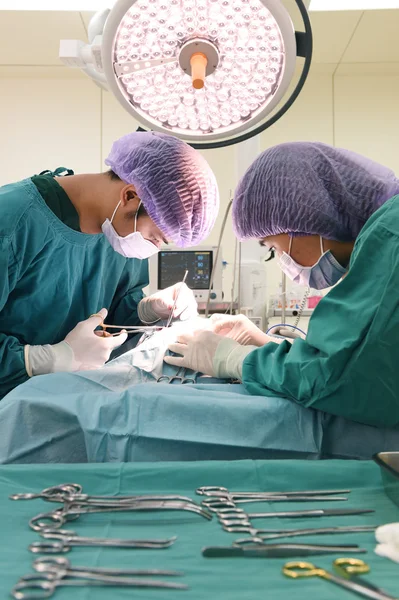 Twee dierenartsen in de operatiekamer — Stockfoto